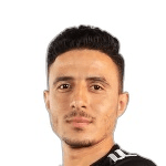 Mahmoud Shedid Kenawi