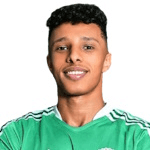 Ahmed Eid Abdel Naby