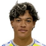 Francis Castillo-Orellana