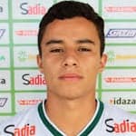 Gabriel Henrique Souza dos Passos