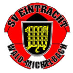 SVE Wald-Michelbach