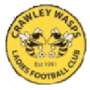 Crawley Wasps W