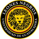 Leones Negros