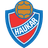 Haukar