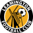 Leamington Lions
