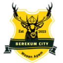 Berekum City