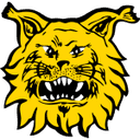 Ilves-Kissat juniorit