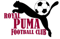 Royal Puma