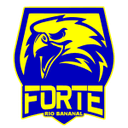 Forte FC