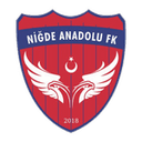 Niğde Anadolu