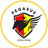 Pegasus