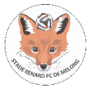 Stade Renard