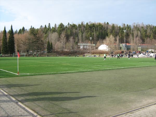 Kisapuiston tekonurmi