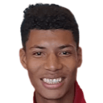 Brayan Anderson Castillo Meneses