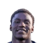 P. Ndinga Ossibadjouo