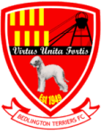 Bedlington Terriers FC