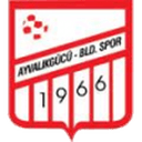 Ayvalıkgücü Belediyespor