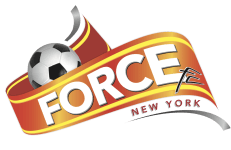 Force New York