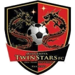Minnesota Twin Stars