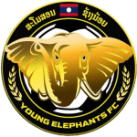 Young Elephant W