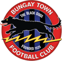 Bungay Town