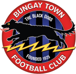 Bungay Town