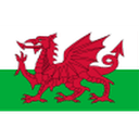 Wales U17 W