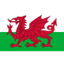 Wales U19 W