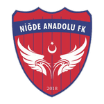 Niğde Anadolu
