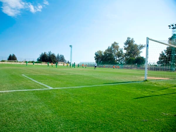 Dimotiko Stadio Pano Polemidias
