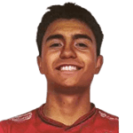 Nicolas Villarroel Galindo