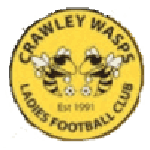 Crawley Wasps W