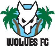 Wolues FC