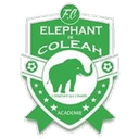 Eléphant Coléah